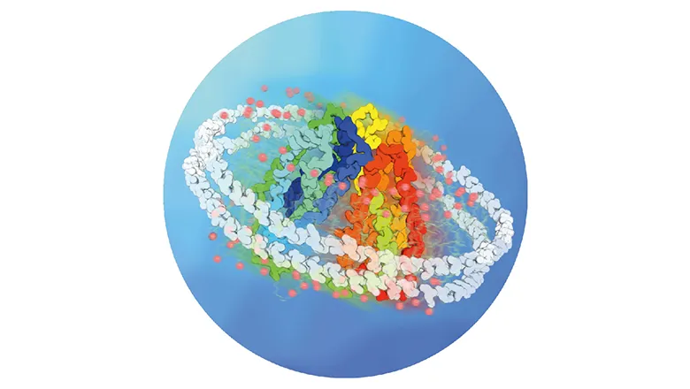 Insertion of protein into membrane biomimetics offers a native-like environment