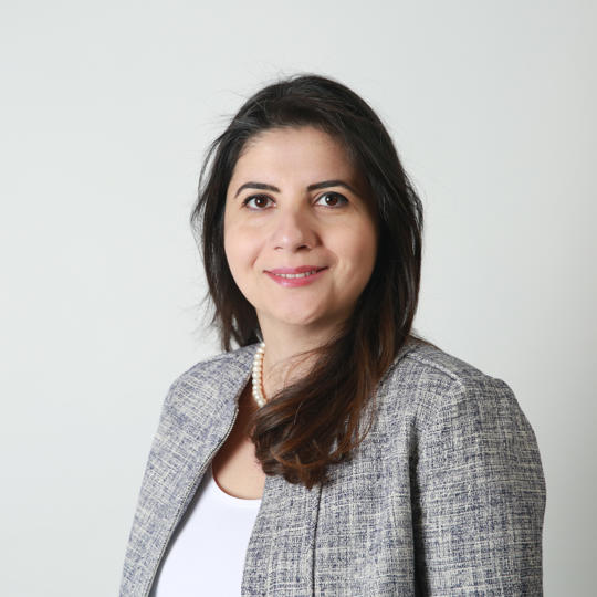 Sirin Duygulu | King's College London