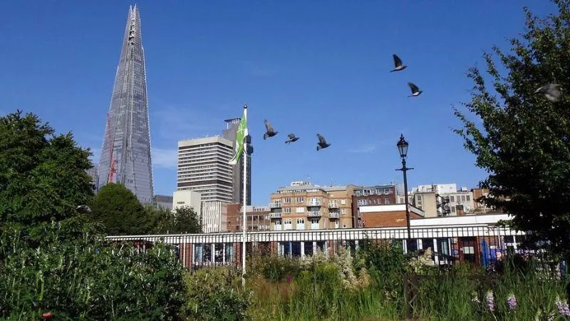 A cityscape with The Shard skyscraper, birds in flight, and greenery in the foreground.