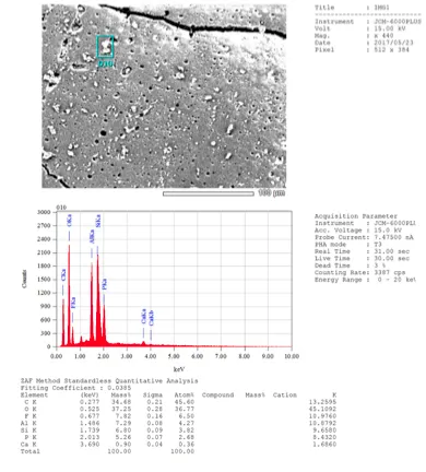 Cell image and graph