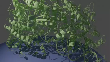 Data produced by the 700 NHz NMR Spectrometer situated in the NMR Facility NMR 700 image
