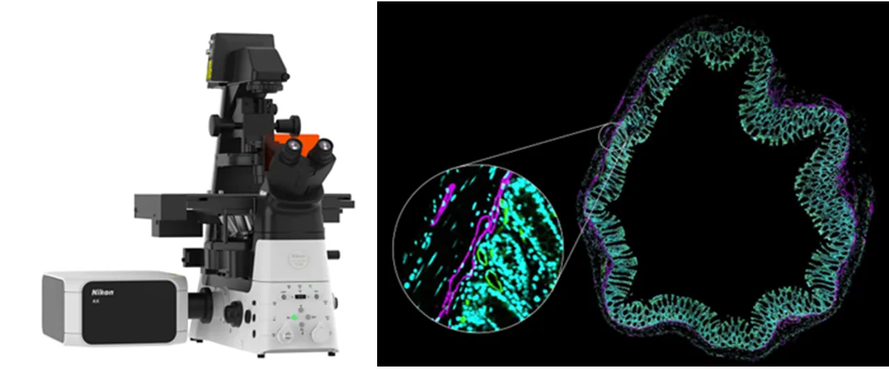 NIC-EQUIPMENT-AXR Inverted Confocal with NSPARC 1-20241211-Third Picture