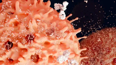 Human tissues group Jo Spencer 780x450