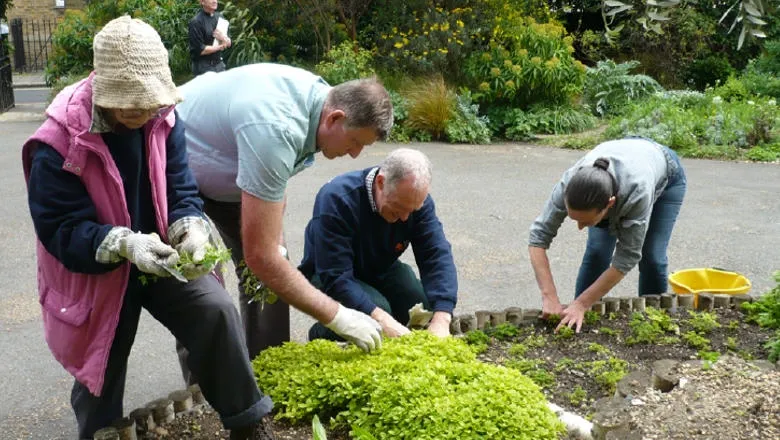 Group of people gardening