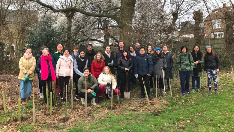 planting trees honour oak sports ground