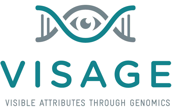 Visage_600_400_logo