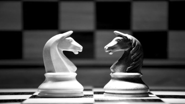 What are Double Check and Discovered Check in chess? 