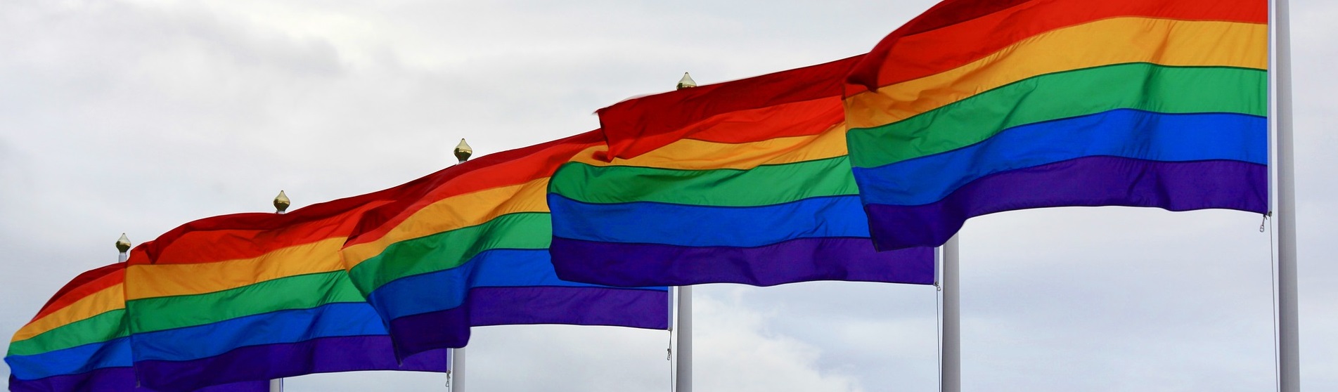 gay pride flags 2020