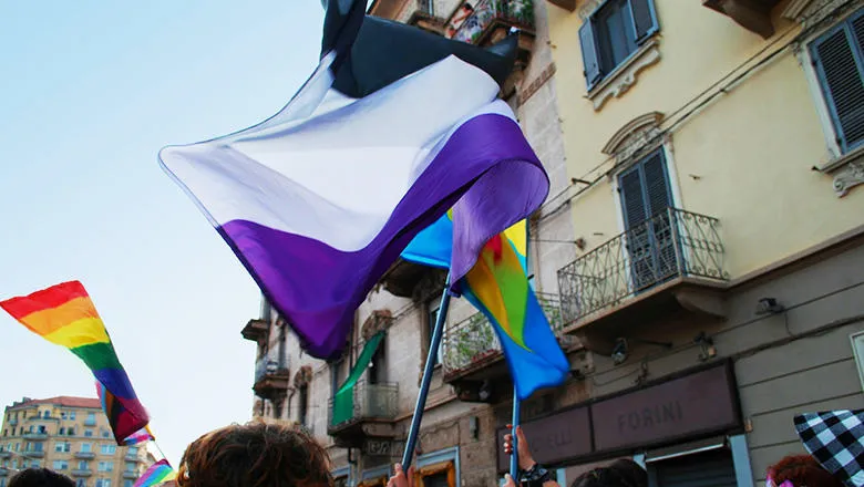 Asexuality flag