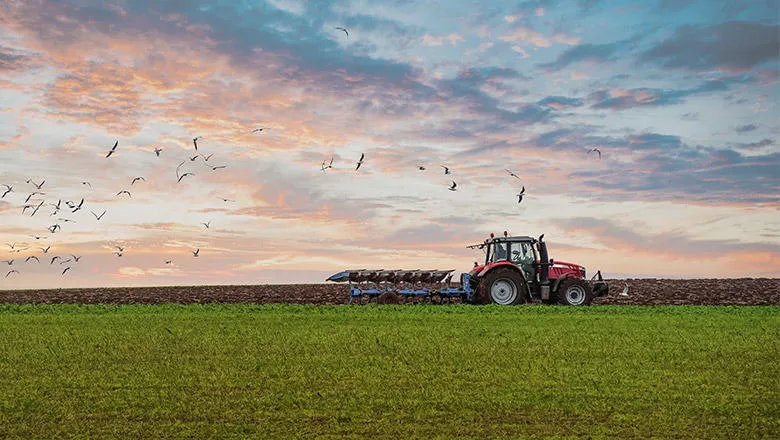 A tractor crosses a field