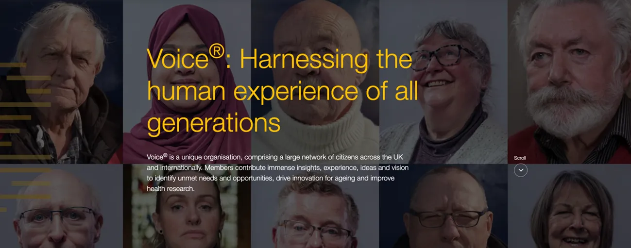 Voice organisation cover image with strap line: Harnessing the human experience of all generations