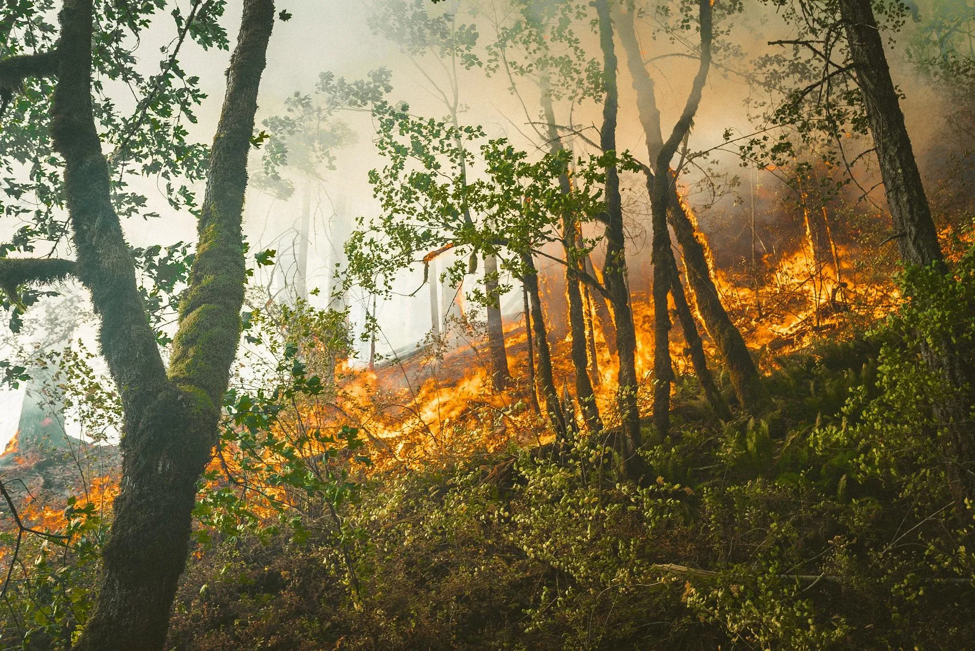 Conflict and Climate Change: confronting the uncomfortable future