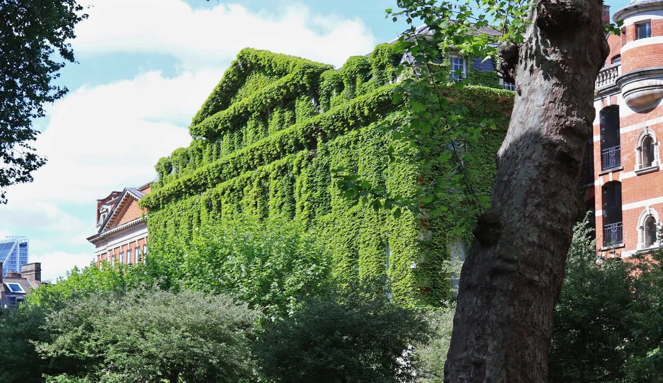 Guy's Hodgkin Building green